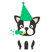 boston terrier party Sticker by Rover.com