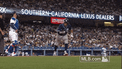 bat GIF by MLB