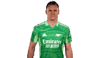 Celebrate Germany Sticker by Arsenal