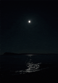 san juan art GIF by hateplow