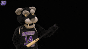 kwcpanthers panthers kwc kdub wesley GIF