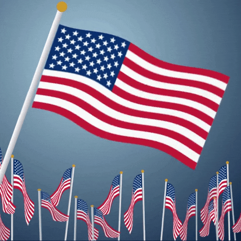 Independence Day Flag GIF by evite