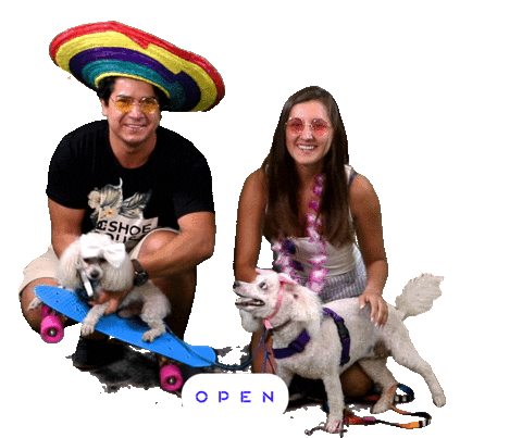 Dog Sticker by Open Plaza