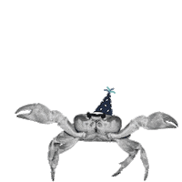 Crab Krebs Sticker by DEICHBRAND Festival 