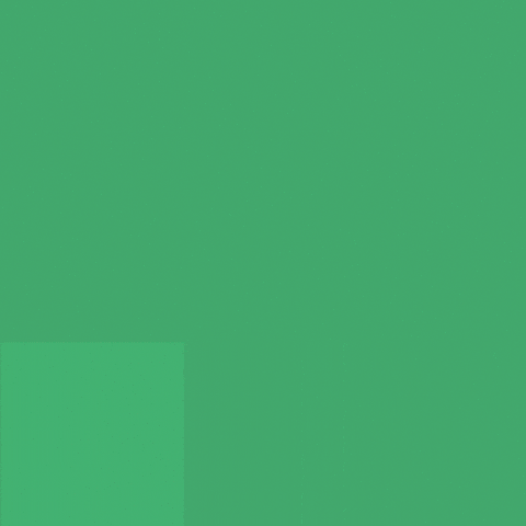 Bellingham GIF