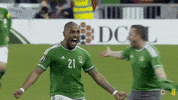 Happy Team GIF by Northern Ireland