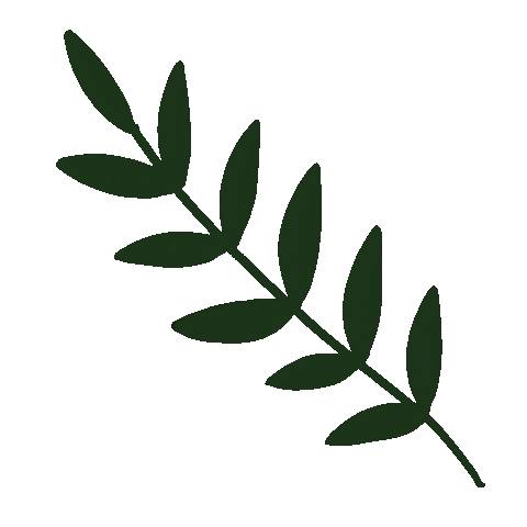 Flower Spring Sticker