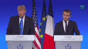 france trump GIF by Mason Report