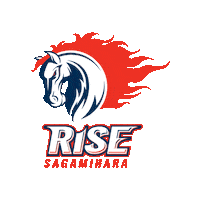 Sagamihara-Rise rise nojima ライズ xleague Sticker