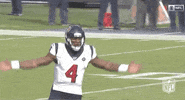 2019 Nfl Football GIF by NFL