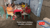 90 Day Fiance Chicken GIF by TLC