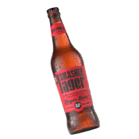 DrynksStore beer cheers friday drinks Sticker