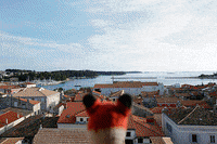 DIE_FOTOFUECHSE fotografieren fotokurs fotoreise fotografierenlernen GIF