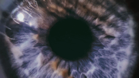 hannahjohnston giphyupload art animation eyes GIF