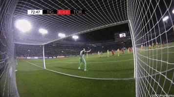 goal copa GIF by nss sports