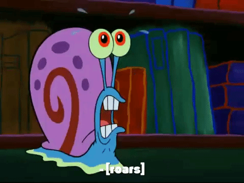 season 7 keep bikini bottom beautiful GIF by SpongeBob SquarePants