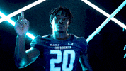 Old Dominion Sport GIF by ODU Football