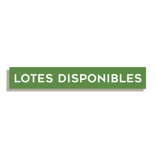 Lotes Sticker