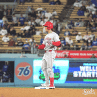 Sport Baseball GIF by Cincinnati Reds