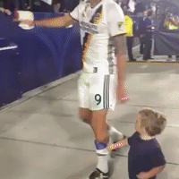 lavclb GIF by LA Galaxy