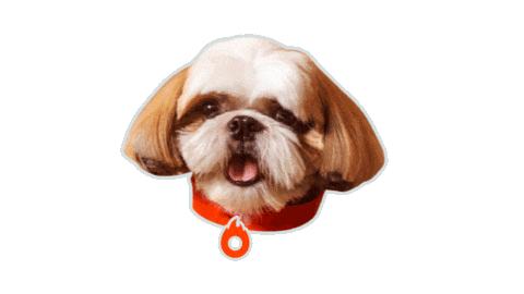 Shihtzu Sticker by Hotmart