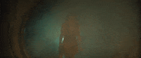 Music Video Smoke GIF by Taylor Swift