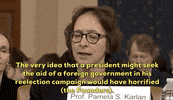 news impeachment impeachment inquiry pamela karlan GIF