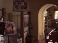 season 3 netflix GIF by Gilmore Girls 