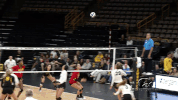 volleyball GIF by University of Iowa Hawkeyes Athletics