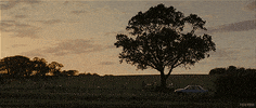 carey mulligan art GIF by Tech Noir