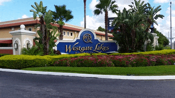 westgate resorts florida GIF by Brimstone (The Grindhouse Radio, Hound Comics)