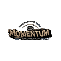 Momentum Sticker by Mayanot