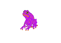 Lizard84 fly frog tounge magic garden Sticker