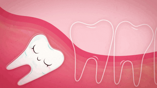 teeth pain GIF by Christina Lu