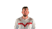Vogels8 Melsgoal Sticker by Valleivogels