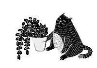 Cat Plant Sticker