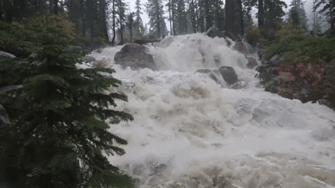 Climate%20Change%20GIF%20by%20GIPHY%20News