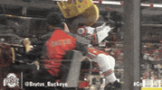 Ohio State Sport GIF by Ohio State Athletics