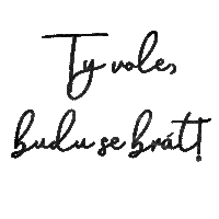 Wedding Svatba Sticker