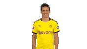 Happy Borussia Dortmund Sticker by Bundesliga