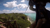 GIF by Dolphin Discovery