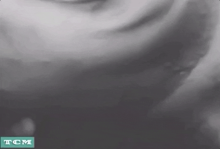 John Waters GIF by Turner Classic Movies
