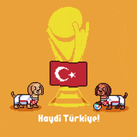 World Cup Turkey GIF by HotDogs