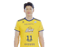 kbstarsvc kb스타즈 kb스타즈배구단 스타즈 스타즈배구단 Sticker