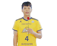 Kb스타즈 Sticker by KB STARS VOLLEYBALL CLUB