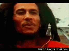 bob marley GIF