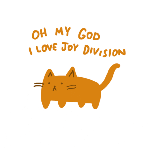 joy division cat GIF by hoppip