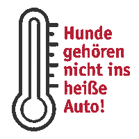 Summer Car Sticker by TASSO e.V.