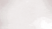 wwe sports sport wwe wrestling GIF