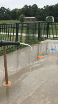 GIF by Conner Prairie